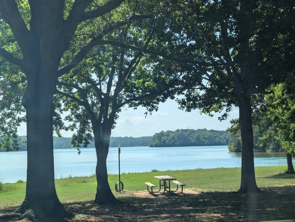 Sunshine and Shoreline