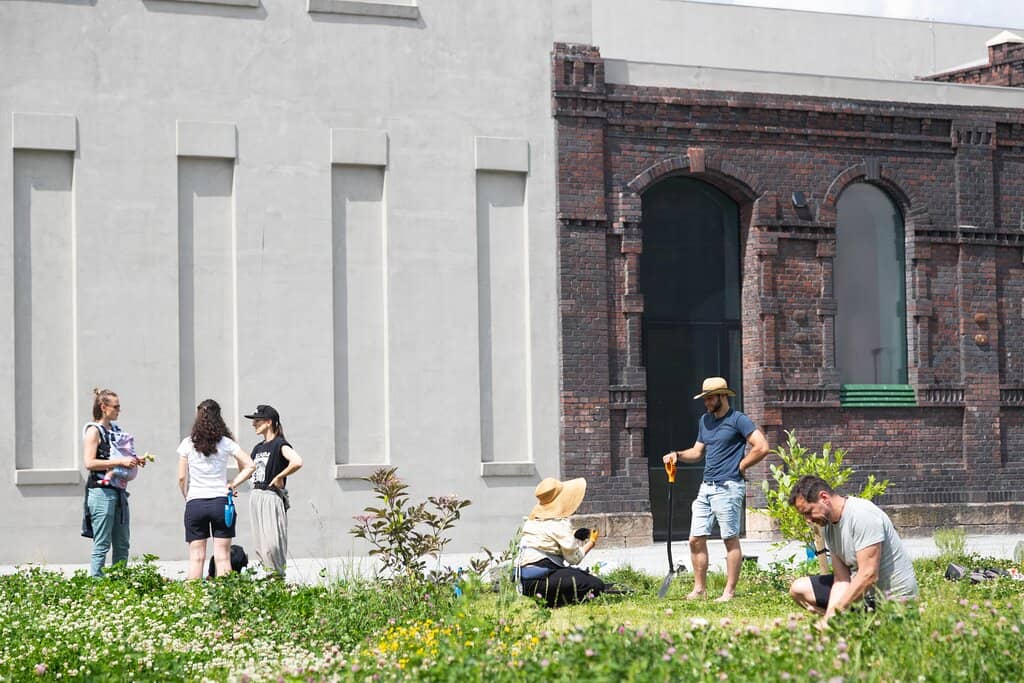 Contemporary Art Exhibitions