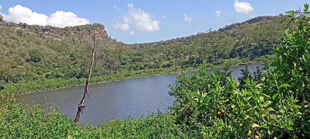 Rim Walk & Nature Trails