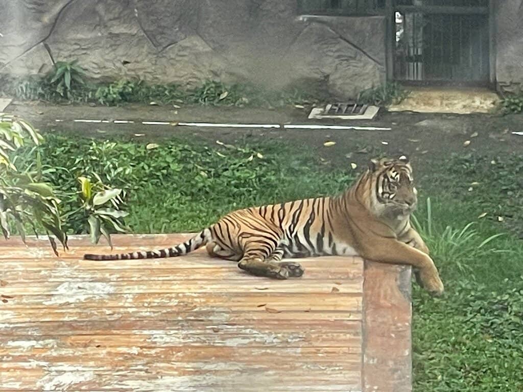 Hanging Bridge to Fort de Kock
