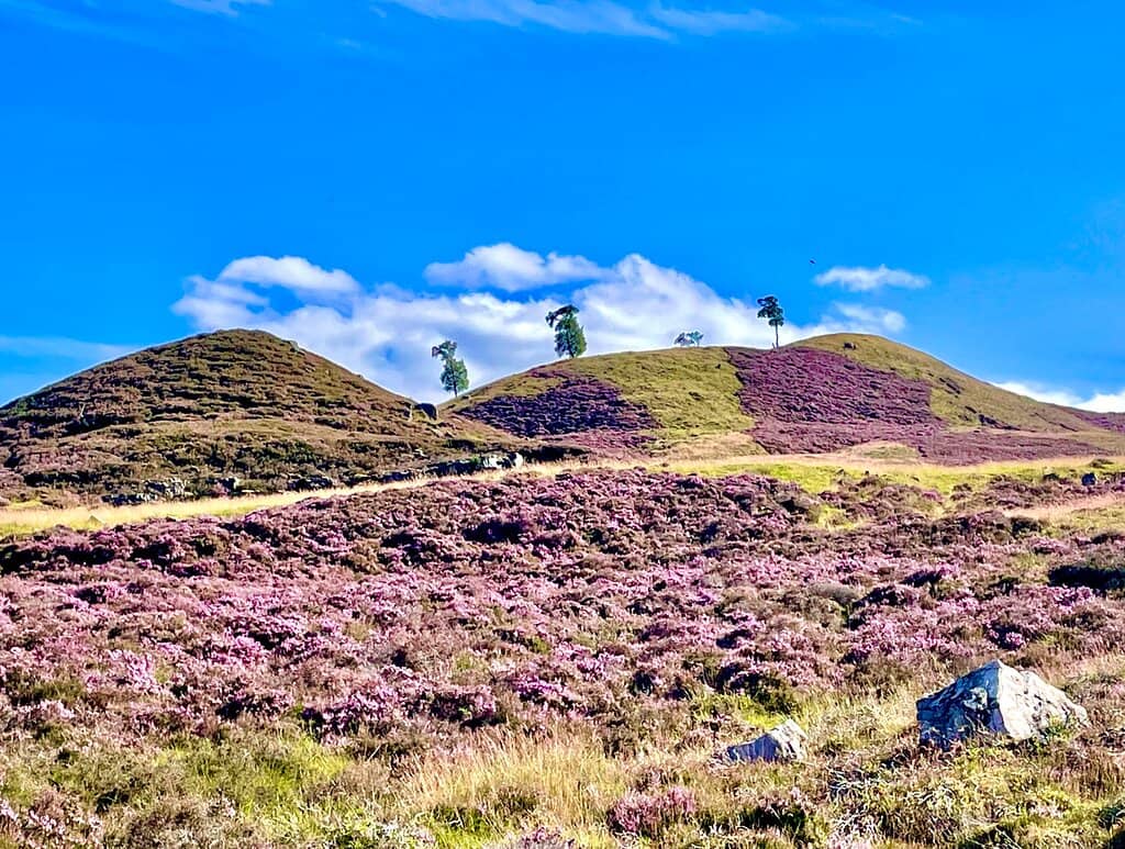 Cairngorm Mountain Railway