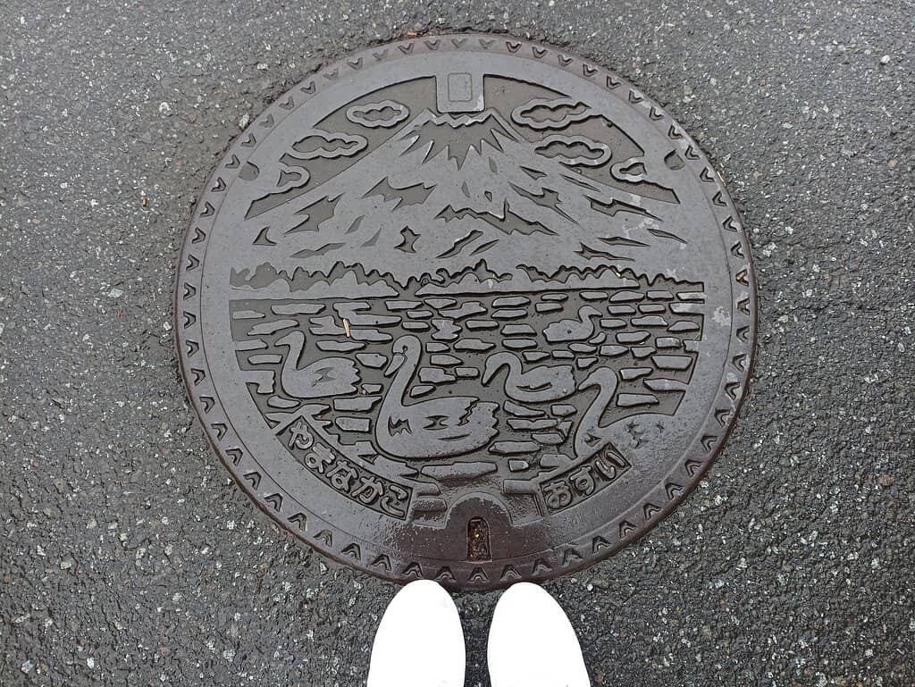 Peaceful Lakeside Stroll