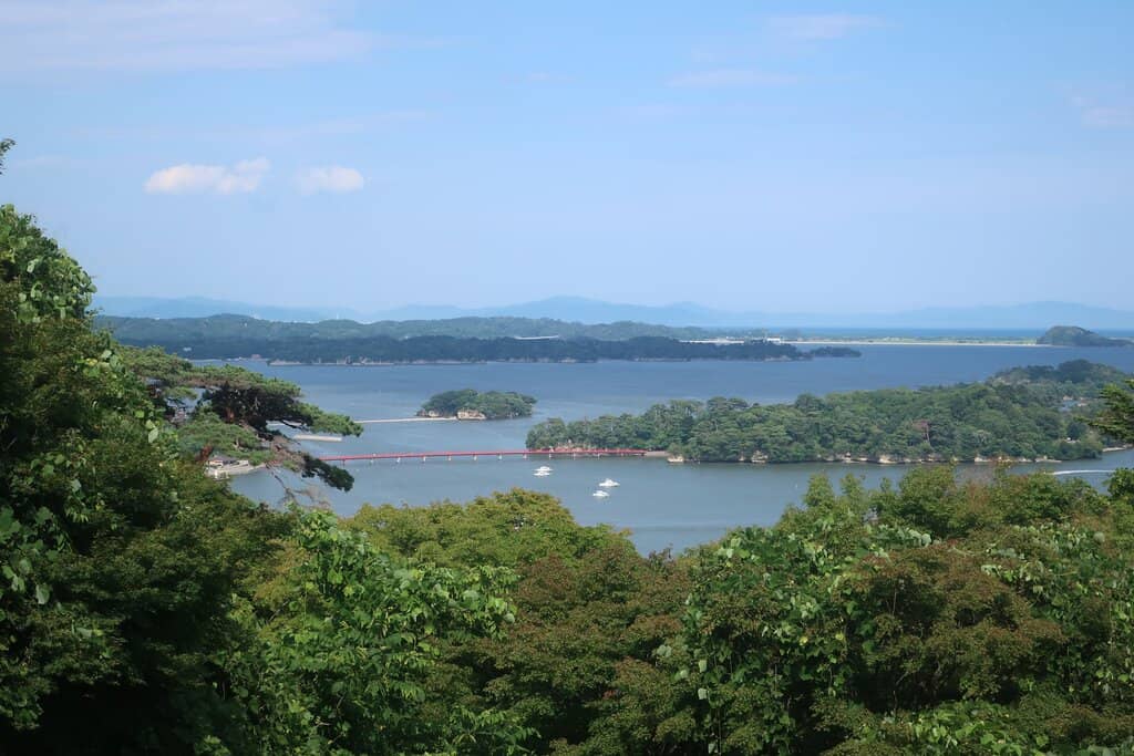 Observation Deck Views