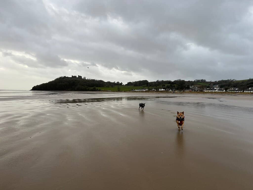 Charming Village Exploration