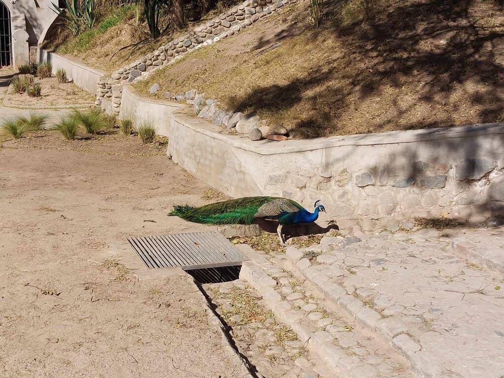 Conservation and Education Hub