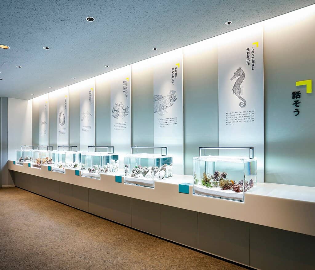 Interactive Touch Pools