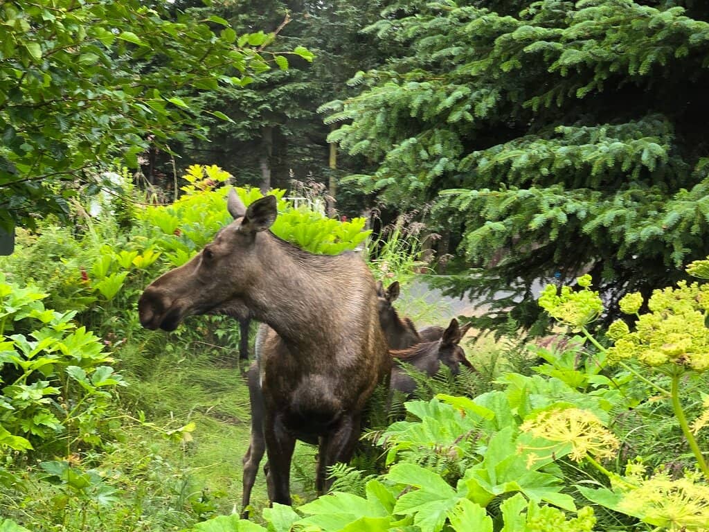Botanical Garden & Forest Trails