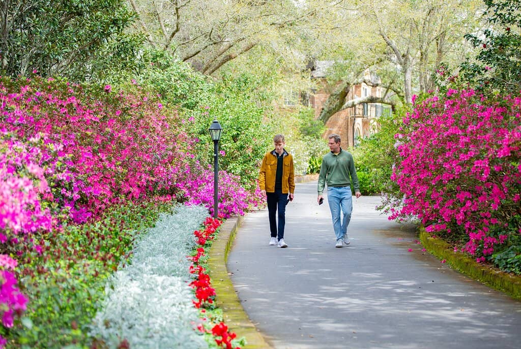 The Enchanting Gardens