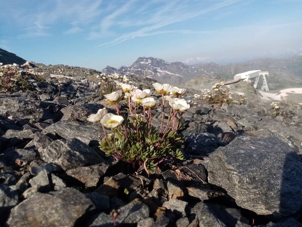 Charming Village Atmosphere