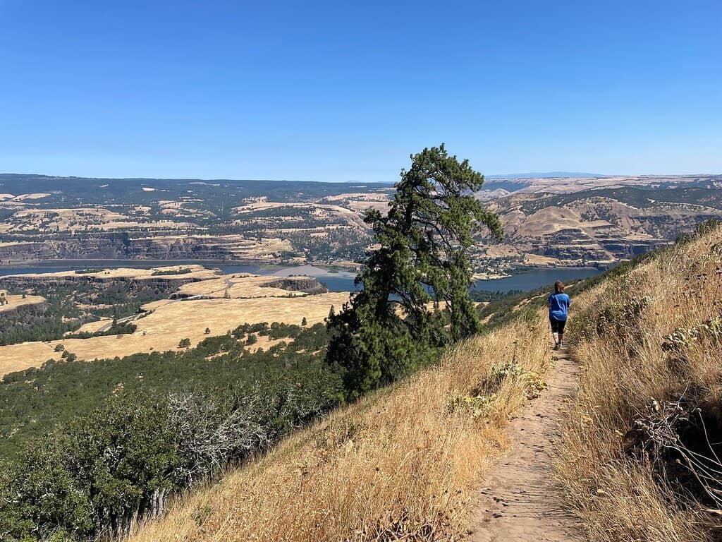 Vertical photo