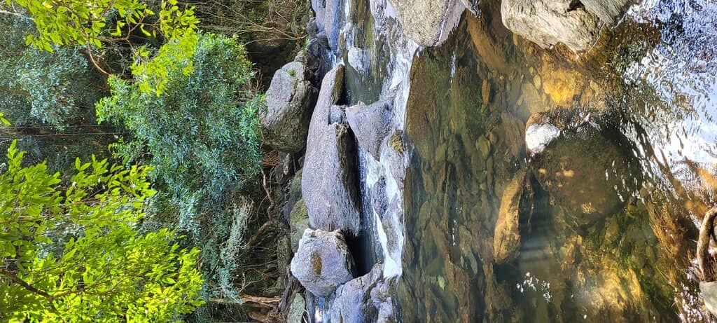 Picnic Spots