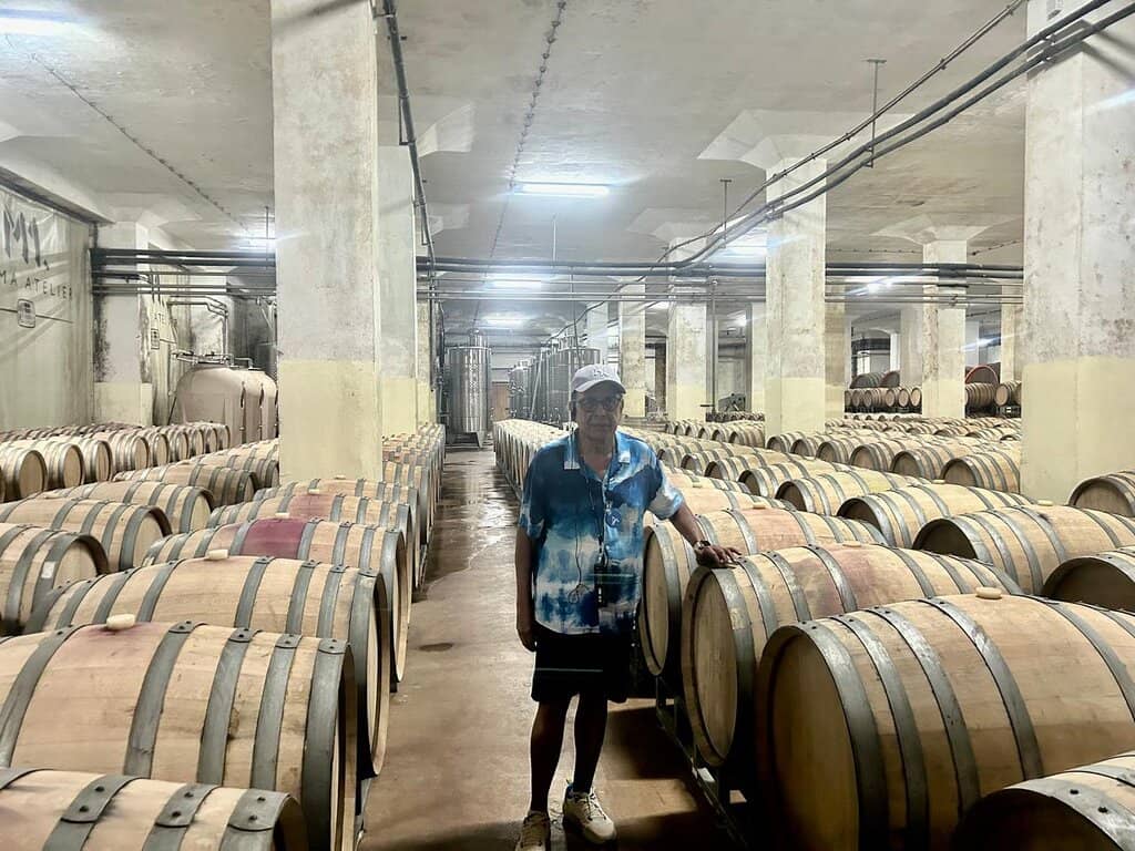 Domeniile Mitroi Winery