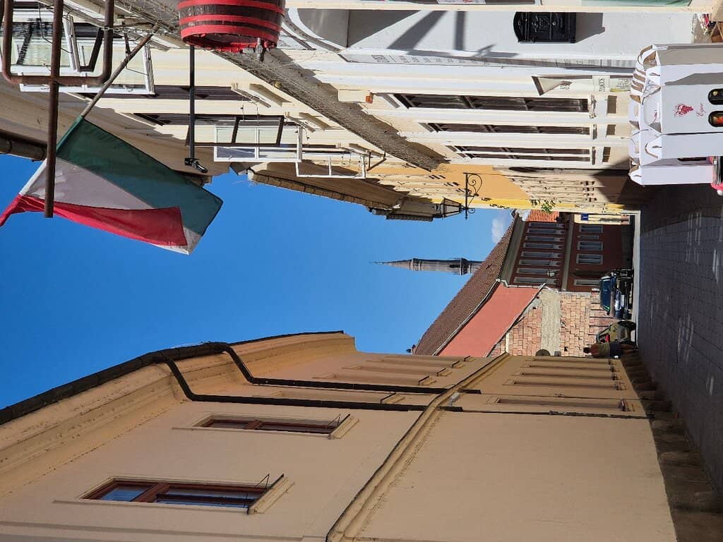 The Cross-Crowned Minaret