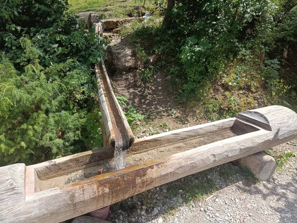 Vertical photo