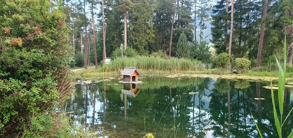 Water Play Area