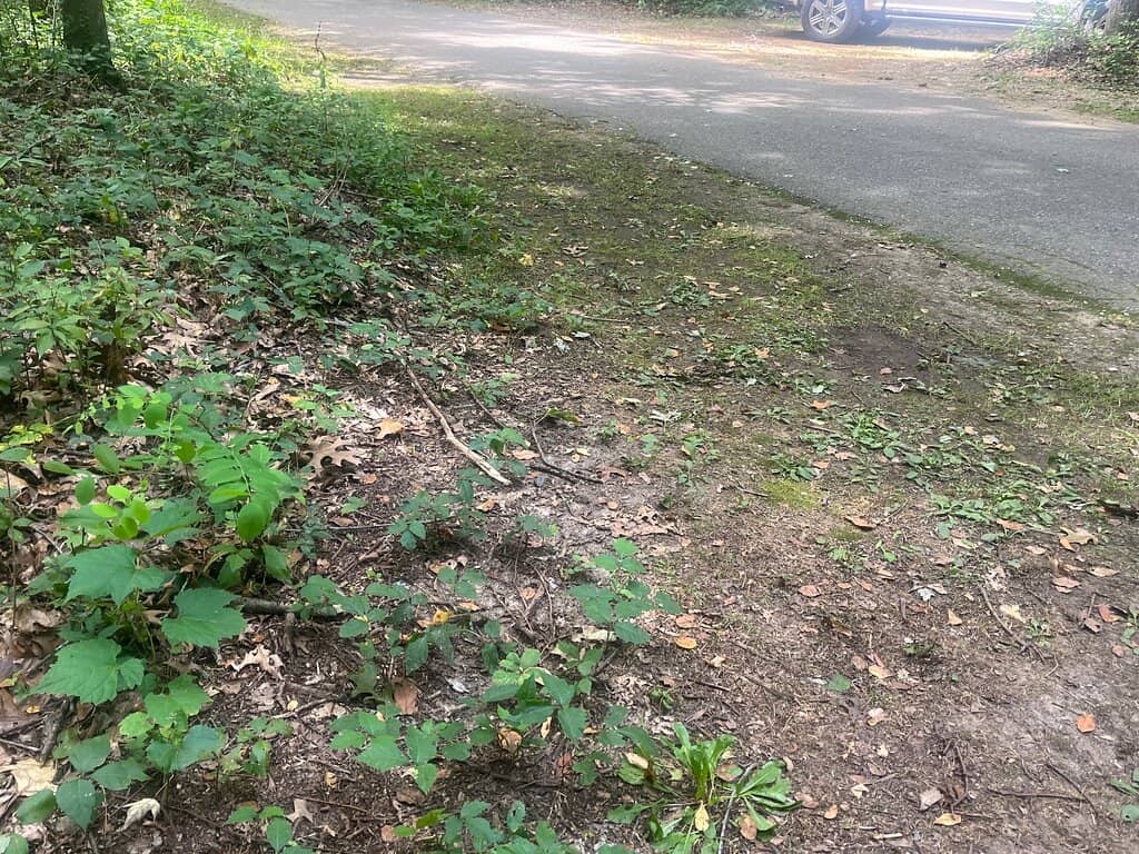 Extensive Trail Network