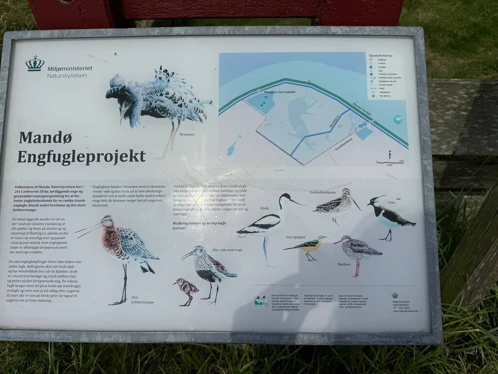 Wadden Sea Nature