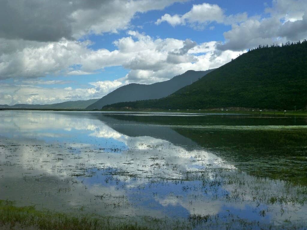 Horse Riding Experience