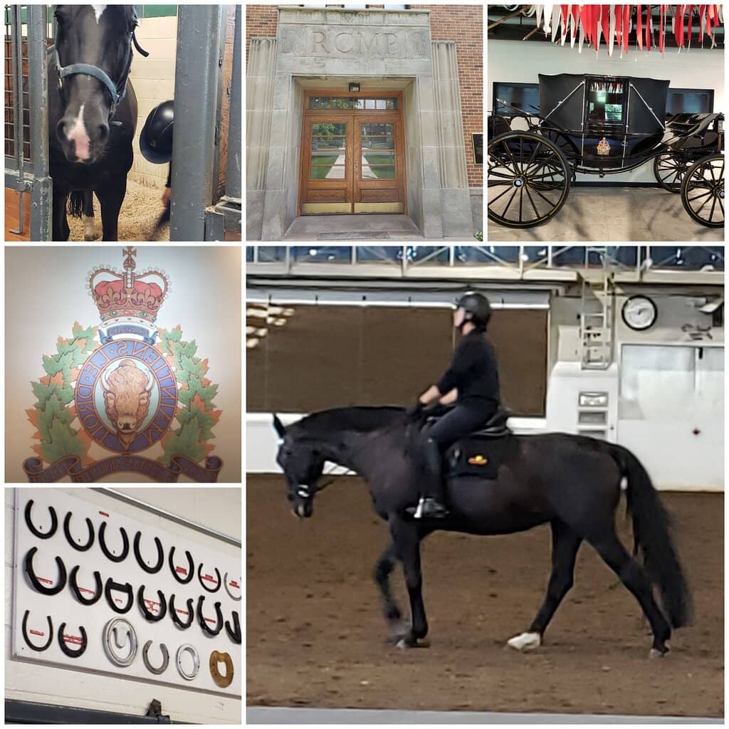 The Musical Ride Performance
