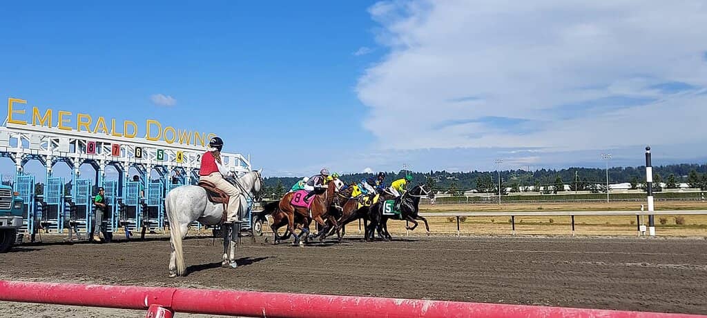 Spectacular Fireworks