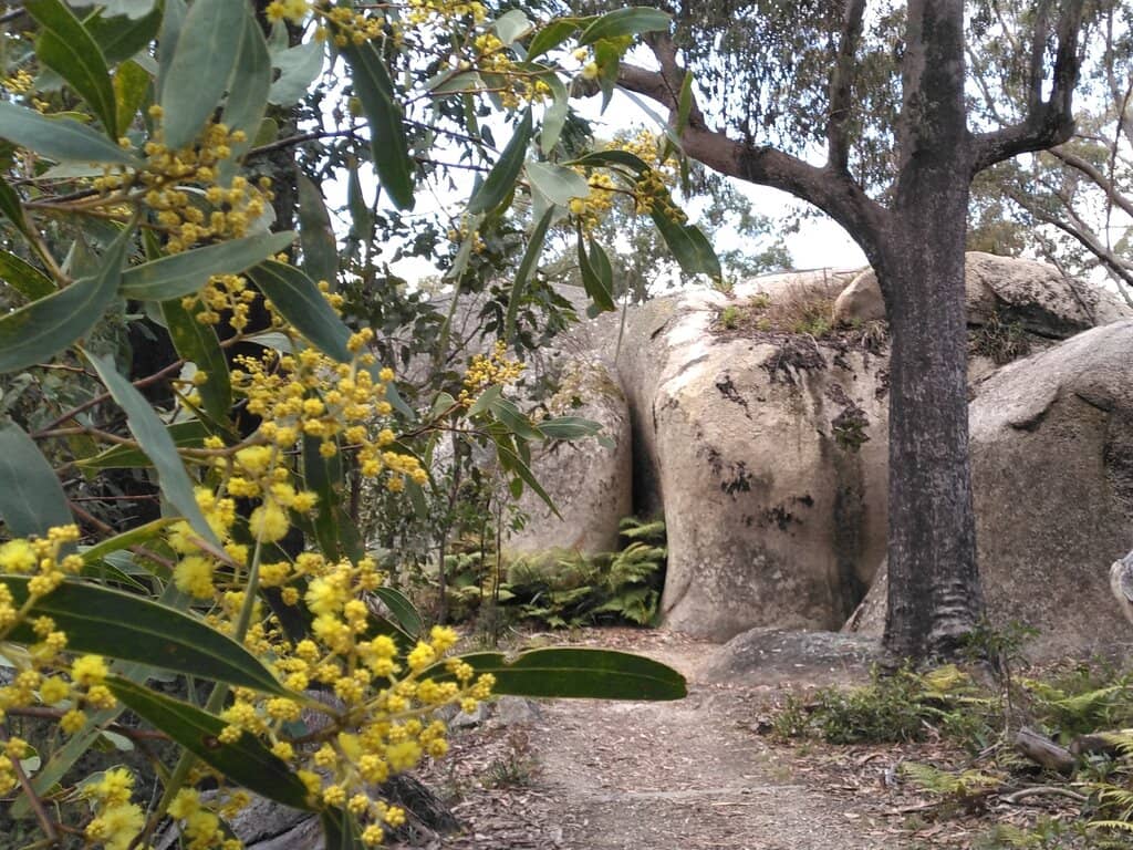 Granite Boulder Formations