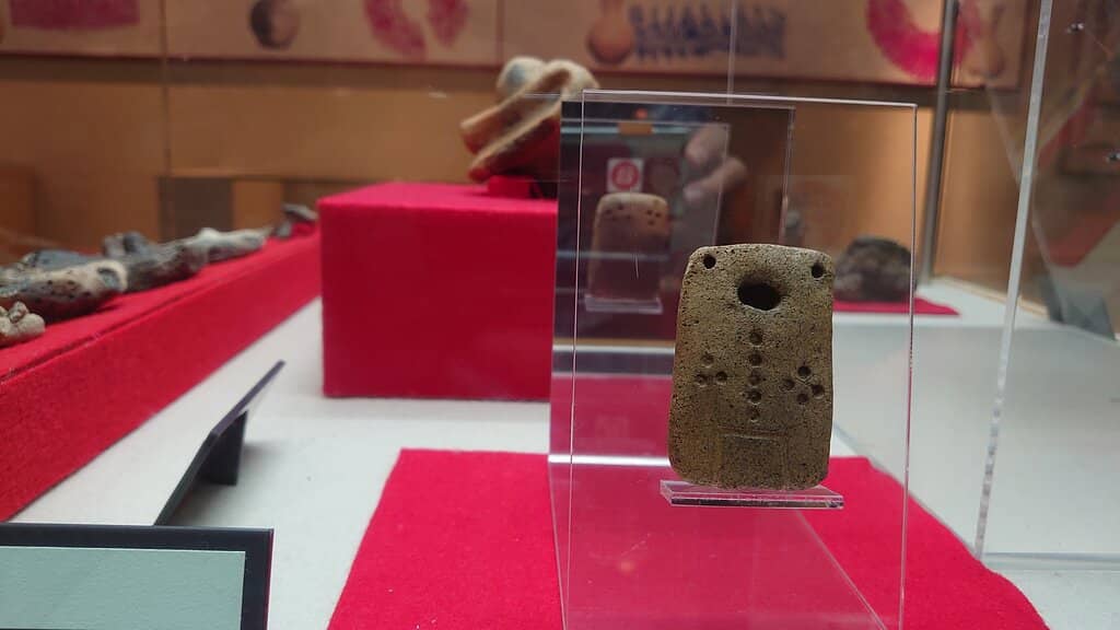 Jomon Period Remains