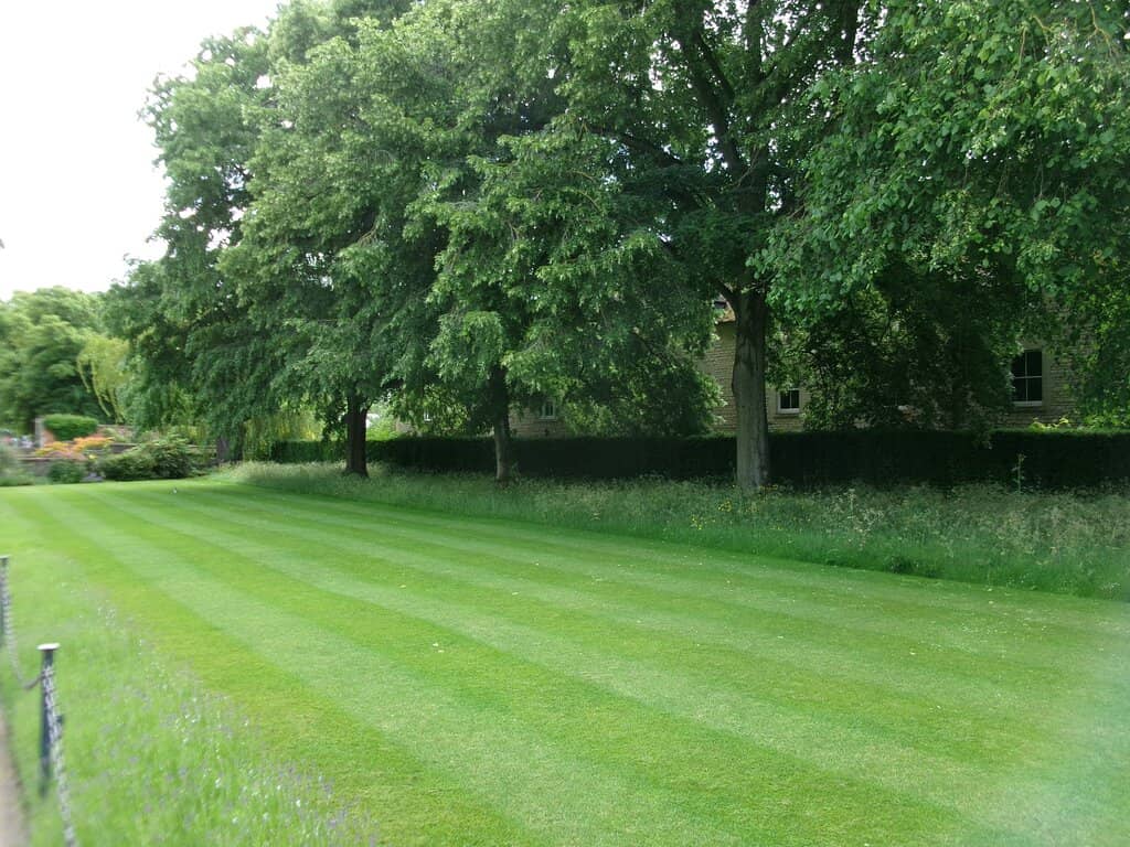 Central War Memorial