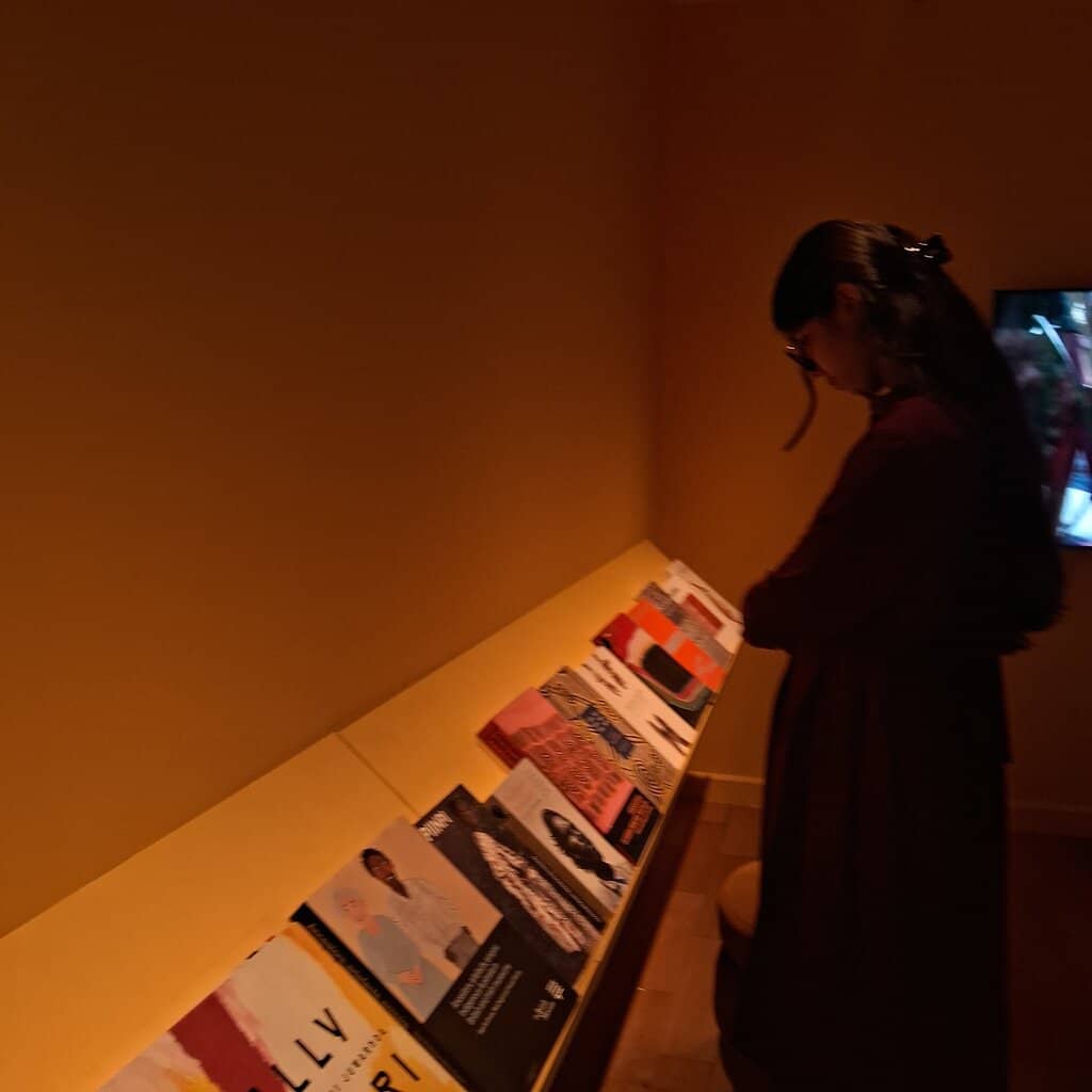 Immersive Multimedia Installations