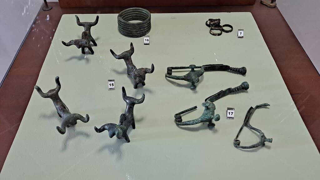 Picene Collection