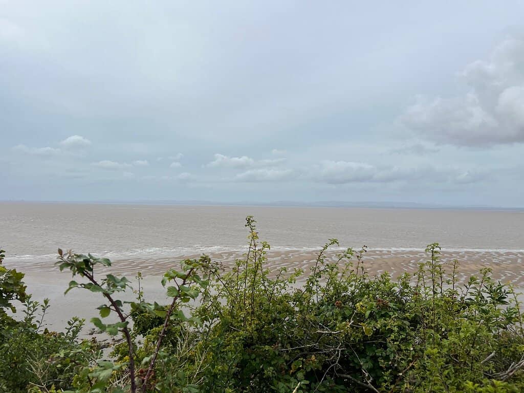 Literary Inspiration