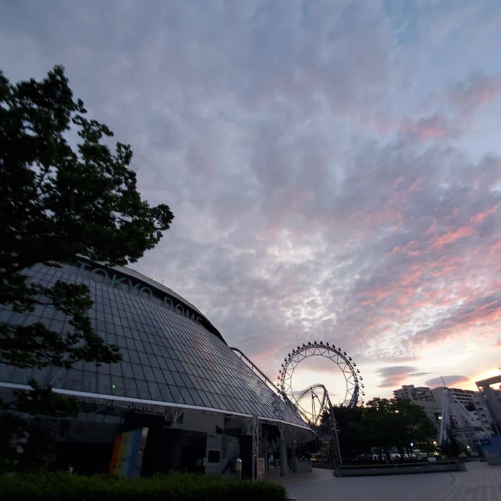 Concerts and Live Performances