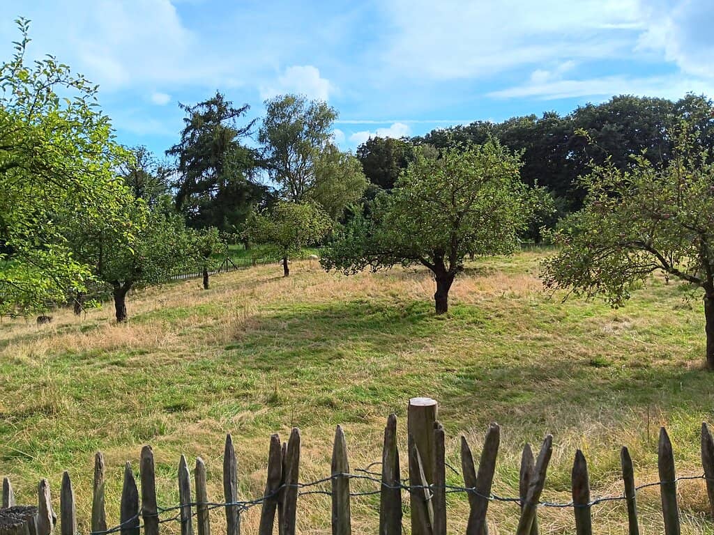 Peaceful Park and Gardens
