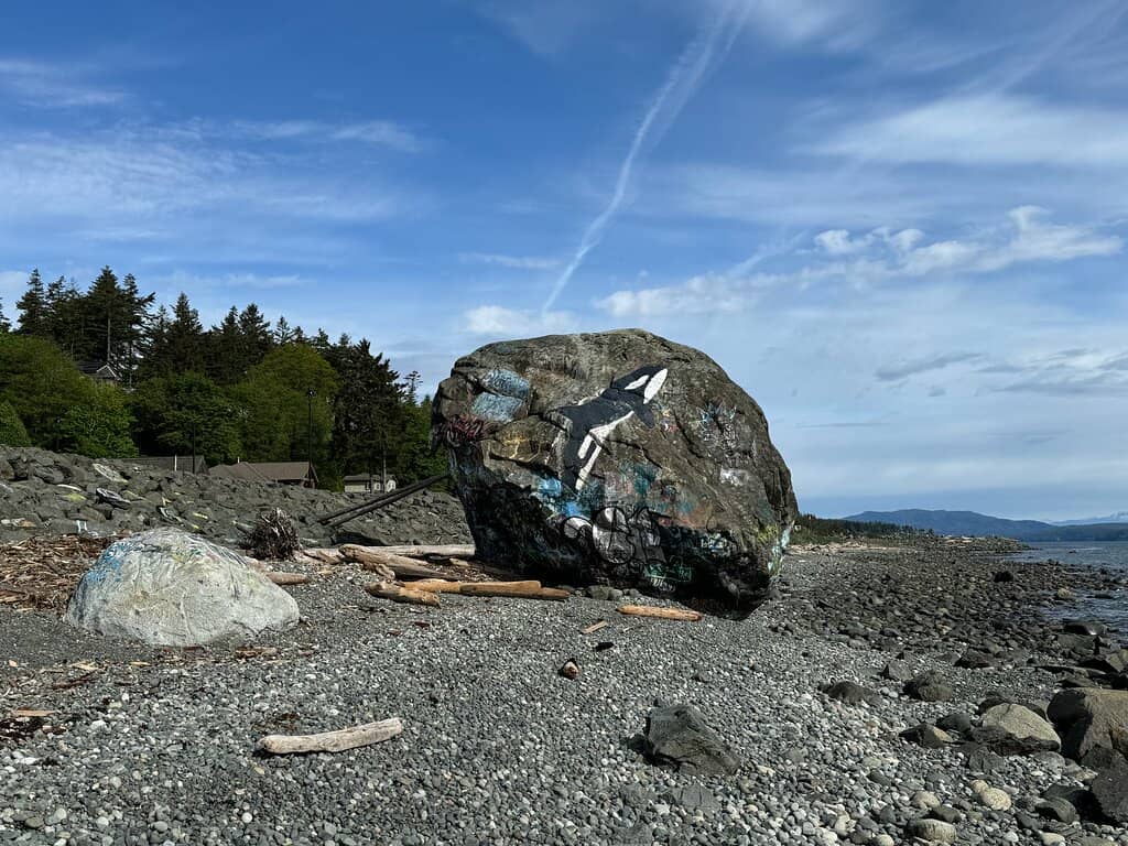 Scenic Sea Walk Views