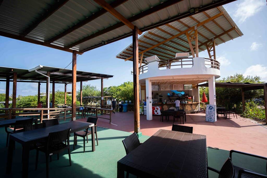 Lonesome George Exhibit