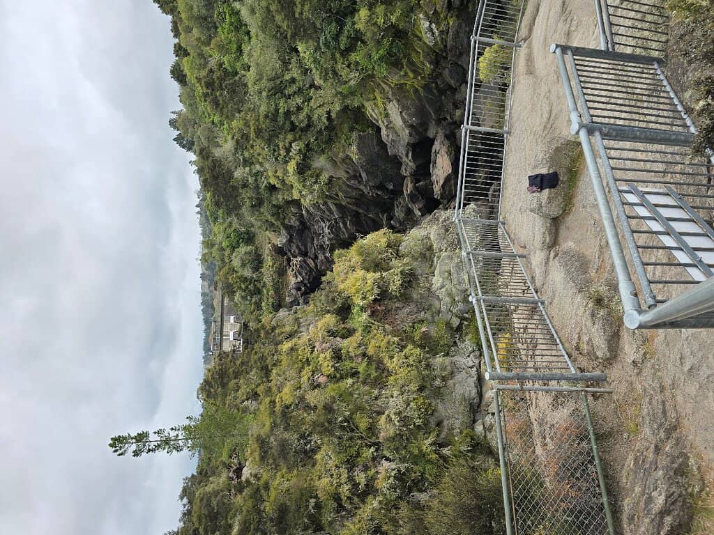 Mid Viewpoint