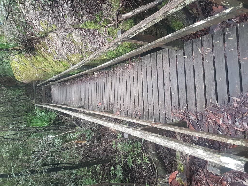 Woy Woy Waterfall