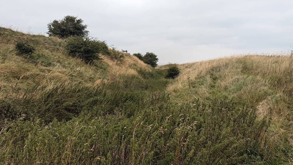 The Star Fort