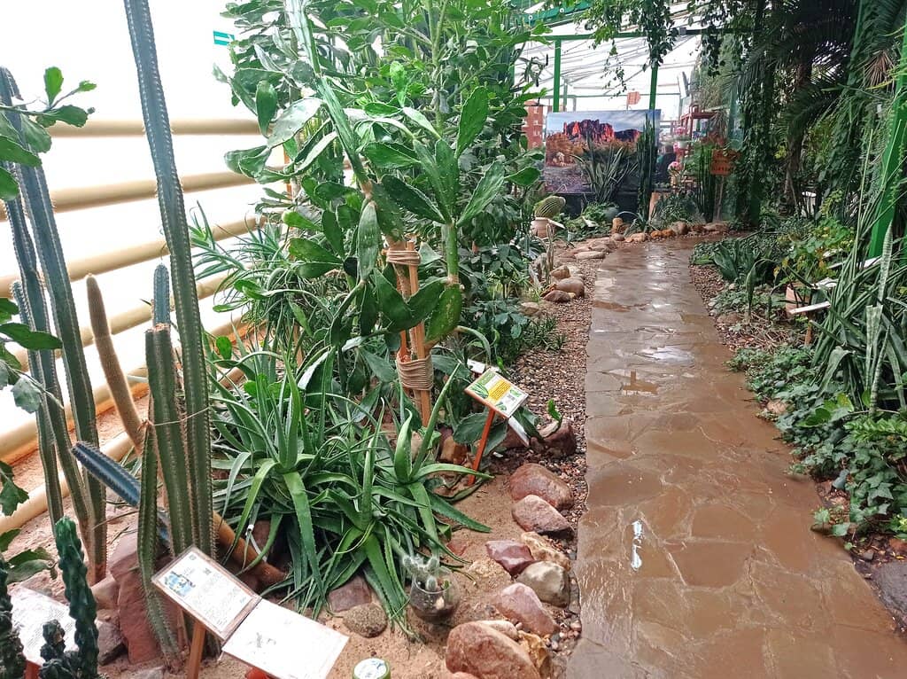 Interactive Animal Zoo