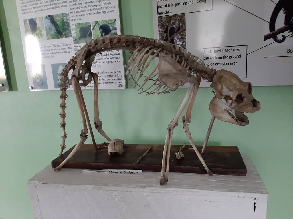 Learn About Conservation