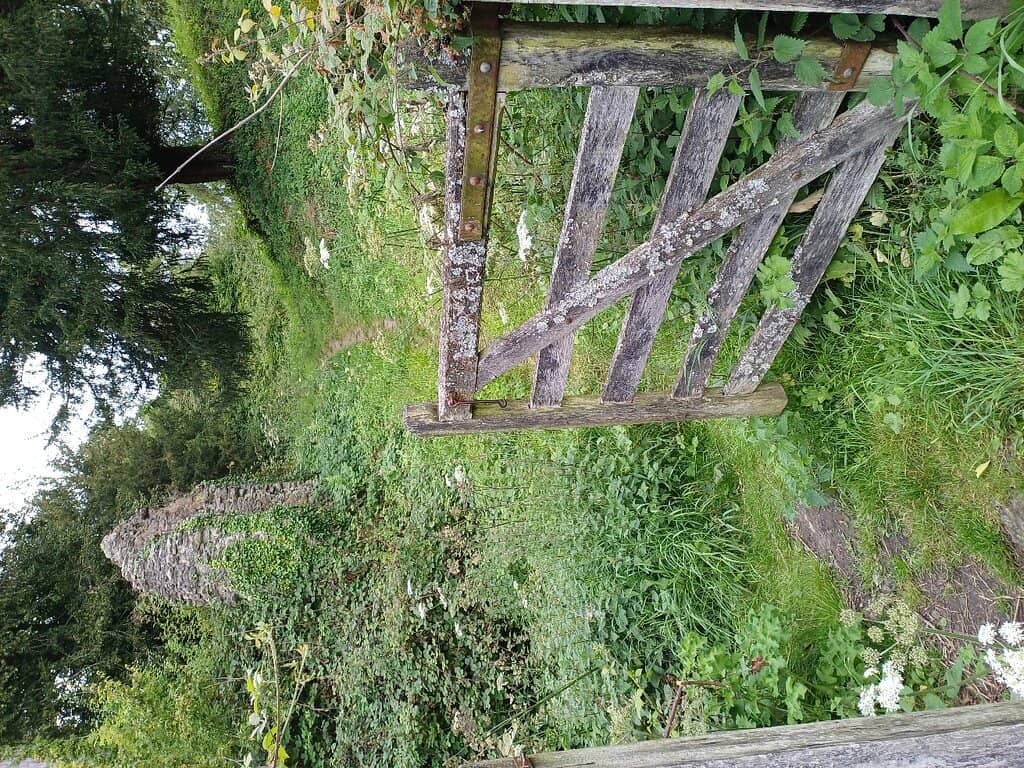 Staged Castle Interiors