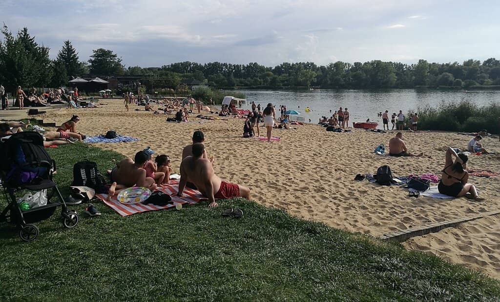 Sandy Beaches