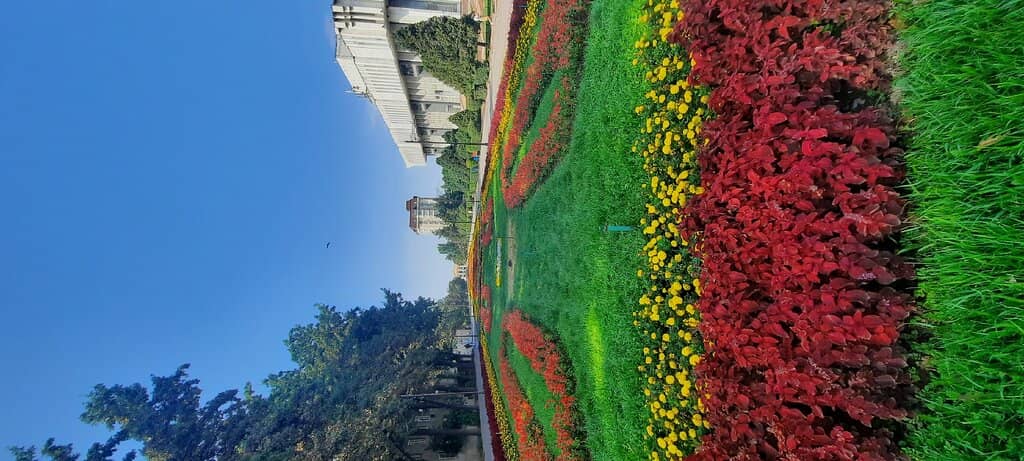 Vertical photo