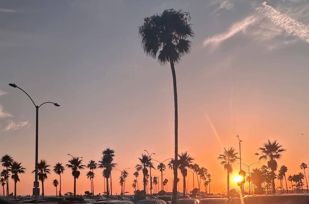 Sunset Views
