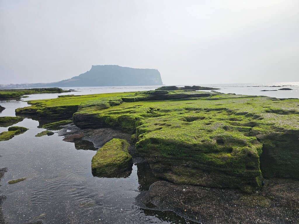 Seongsan Ilchulbong View