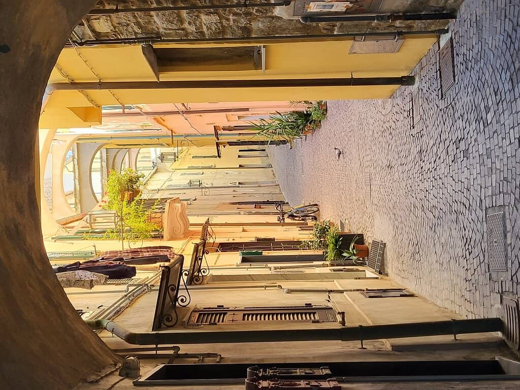 Vertical photo