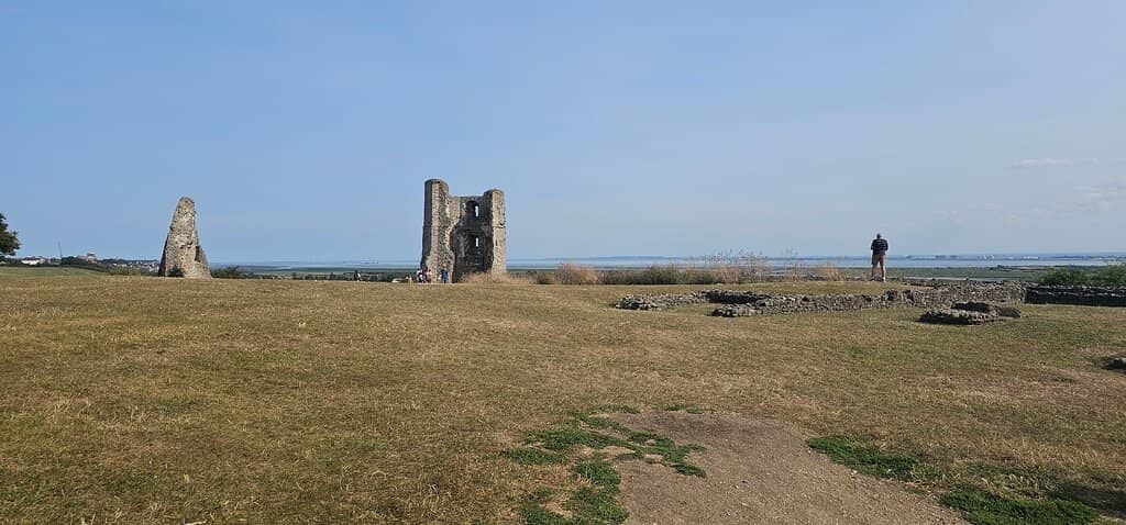 Panoramic Marsh Views