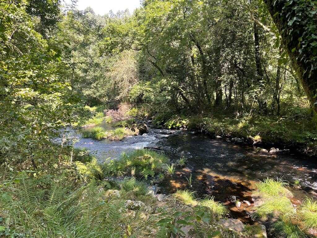 Crypt Exploration