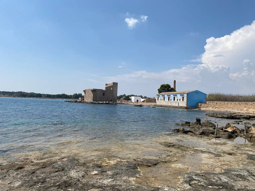 Exhibition on Local Fauna and Flora