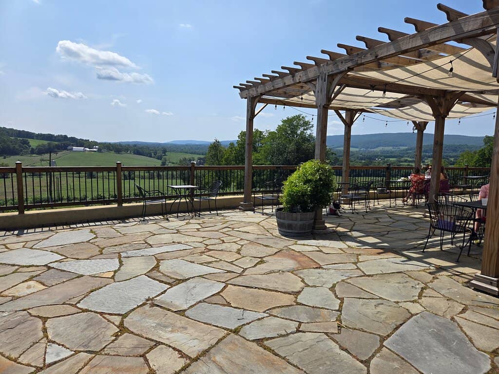 Wine & Craft Beer Selection