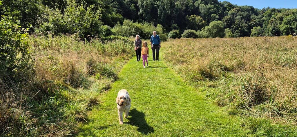 Wye Valley Views